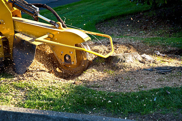 Artificial Turf Installation in Englewood Cliffs, NJ